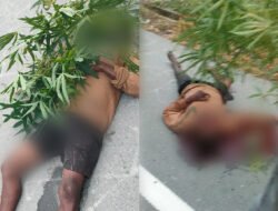 Pria 30 Tahun Ditemukan Tewas Berlumuran Darah di SP 2 Mimika, Polisi Amankan Besi dan Pisau