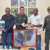 Tiga Ular Death Adder Gagal Diselundupkan dari Timika ke Semarang