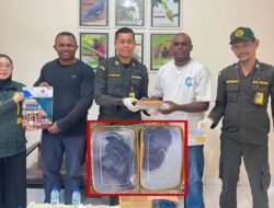 Tiga Ular Death Adder Gagal Diselundupkan dari Timika ke Semarang