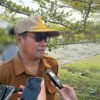 Harga Cabai Meroket Akibat Kekeringan, Dinas Pertanian Mimika Siapkan 12 Titik Sumur Bor