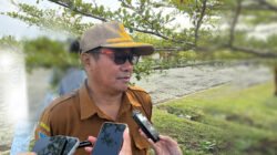 Harga Cabai Meroket Akibat Kekeringan, Dinas Pertanian Mimika Siapkan 12 Titik Sumur Bor