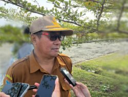 Harga Cabai Meroket Akibat Kekeringan, Dinas Pertanian Mimika Siapkan 12 Titik Sumur Bor