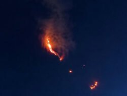 PTFI Pastikan Kebakaran Kawasan Hutan Tembagapura di Luar Area Operasional