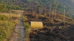 Kebakaran Lahan di Aroanop Mimika Hanguskan Pondok dan Area Pemakaman