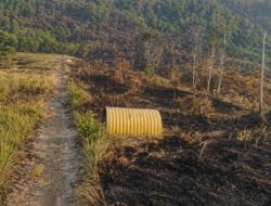 Kebakaran Lahan di Aroanop Mimika Hanguskan Pondok dan Area Pemakaman