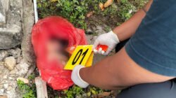 Polisi Selidiki Pembuangan Jasad Bayi di Mimika, CCTV di Lokasi Tak Merekam